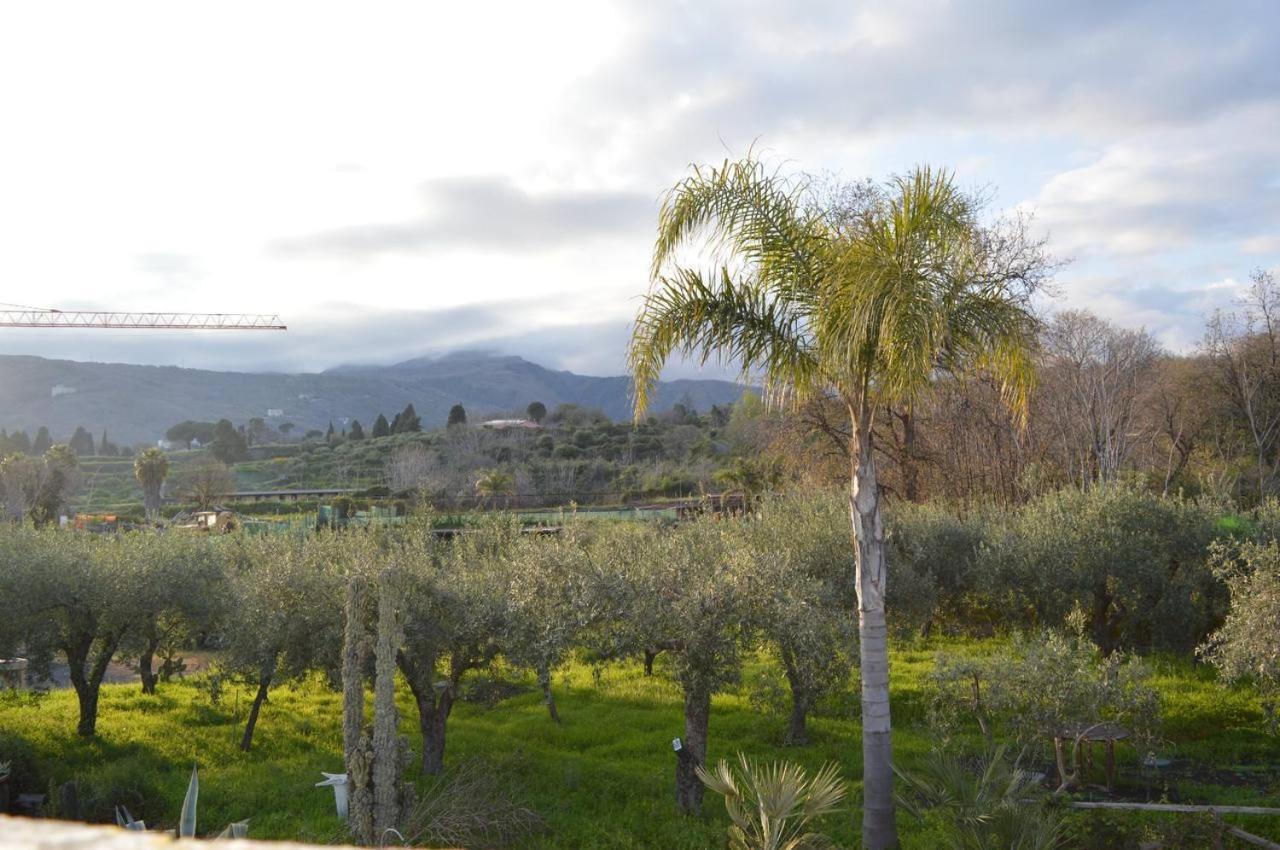 Zest House Bed & Breakfast Santa Venerina Exterior photo